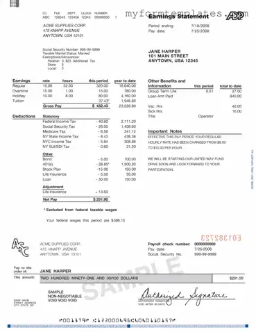 Official Adp Pay Stub Form in PDF