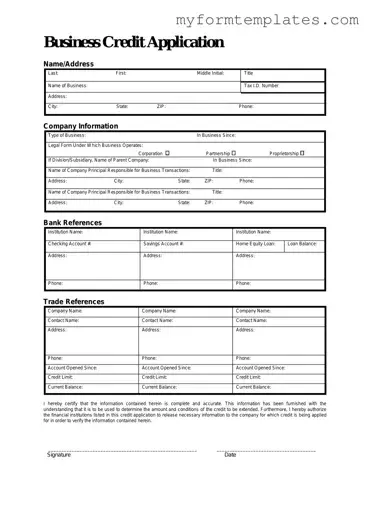 Official Business Credit Application Form in PDF