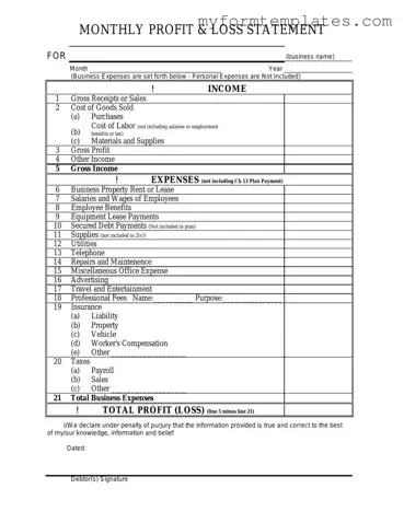 Official Profit And Loss Form in PDF