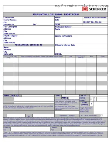 Official Straight Bill Of Lading Form in PDF