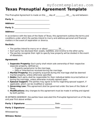 Official Prenuptial Agreement Form for the State of Texas